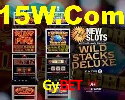 Premium Interface Gybet